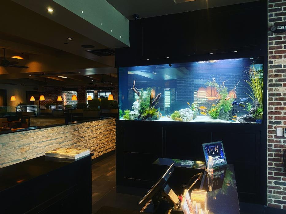 Aquarium Maintenance, LLC - Conroe, TX
