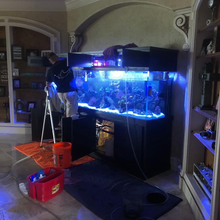 Aquarium Maintenance, LLC - Conroe, TX