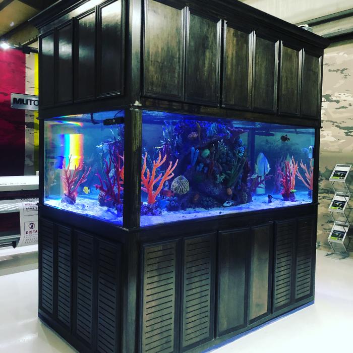 Aquarium Maintenance, LLC - Conroe, TX