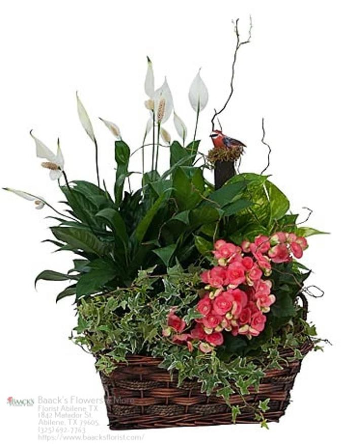 Baack's The Florist Image