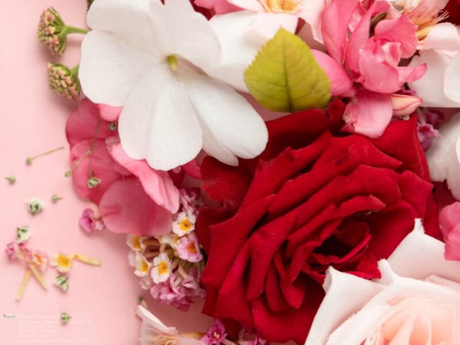 Baack's The Florist Image