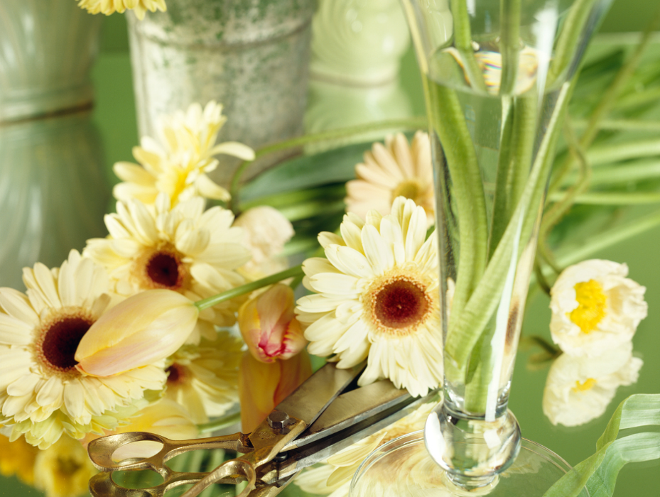 Baack's The Florist Image