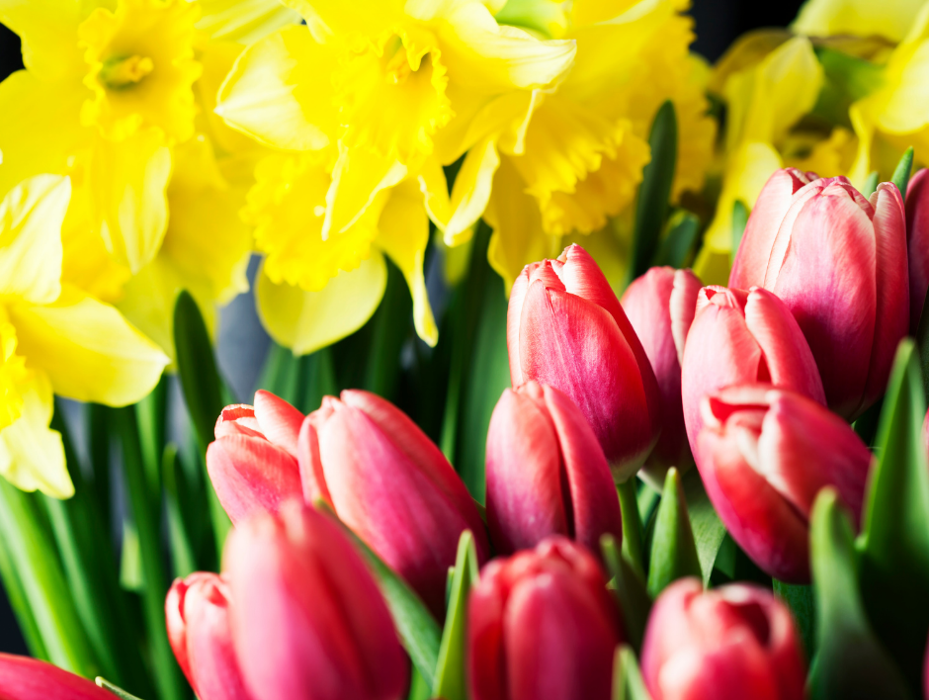 Baack's The Florist Image