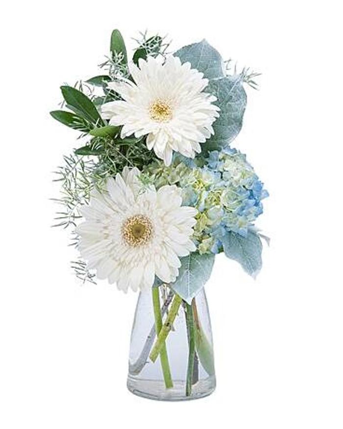 Baack's The Florist Image