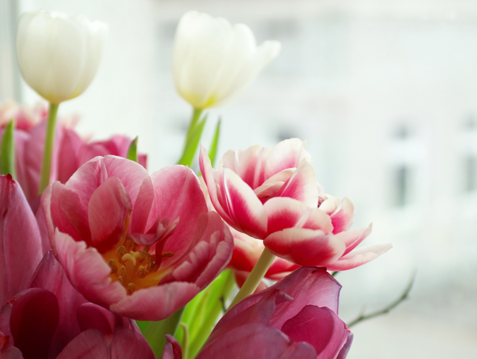 Baack's The Florist Image