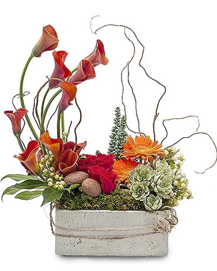 Baack's The Florist Image