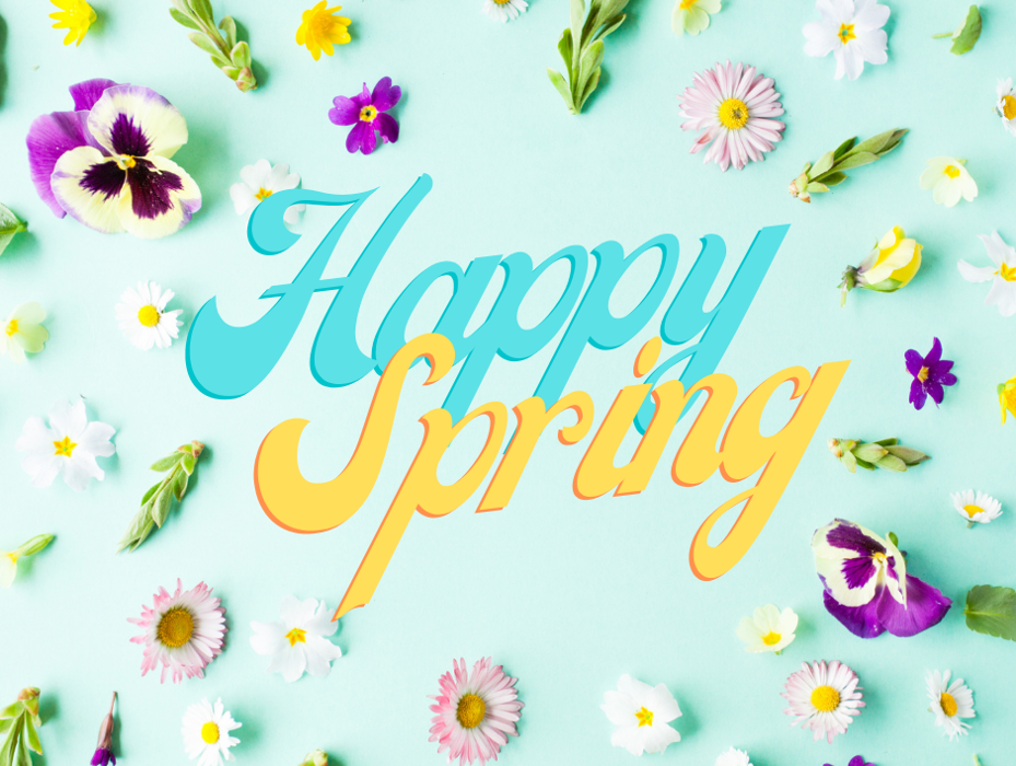 Baack's The Florist Image