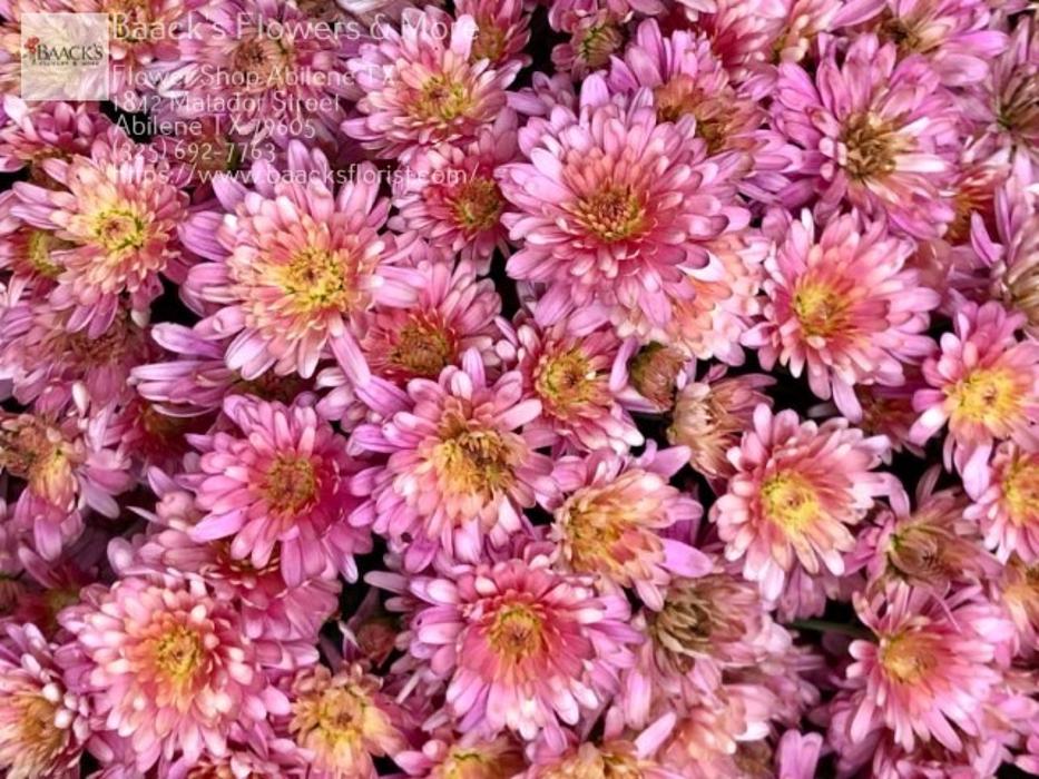 Baack's The Florist Image