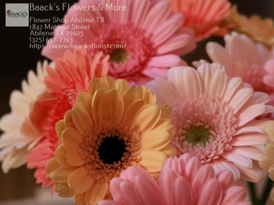 Baack's The Florist Image