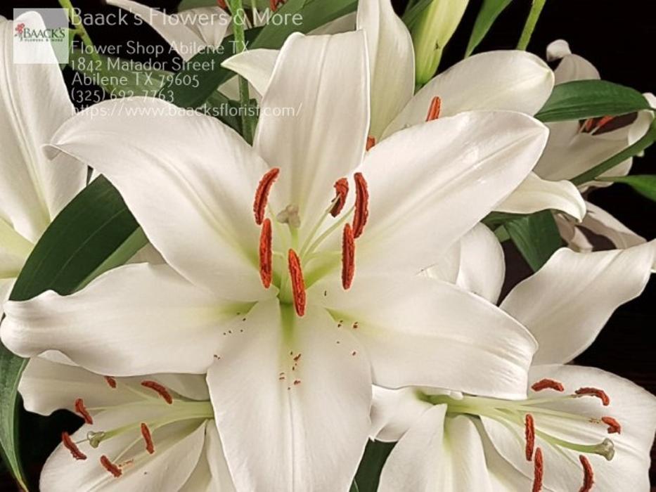 Baack's The Florist Image