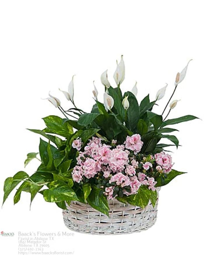 Baack's The Florist Image