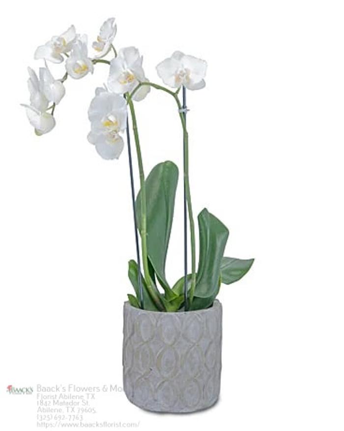 Baack's The Florist Image