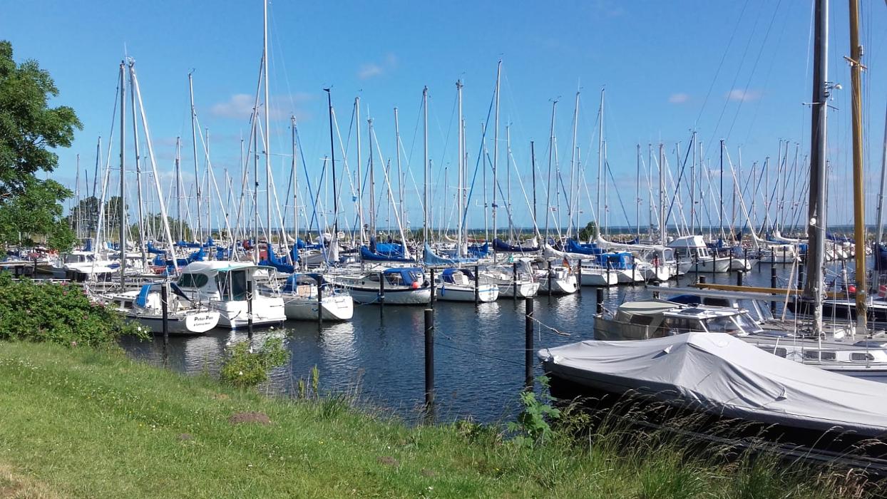 Gästehaus Szech, Steinberghaff in Steinberg