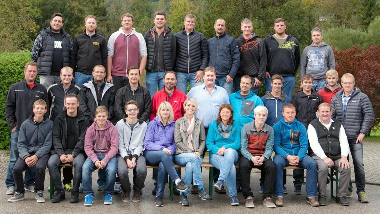 Steffner Dach, Wirerstubenstraße in Bad Goisern am Hallstättersee