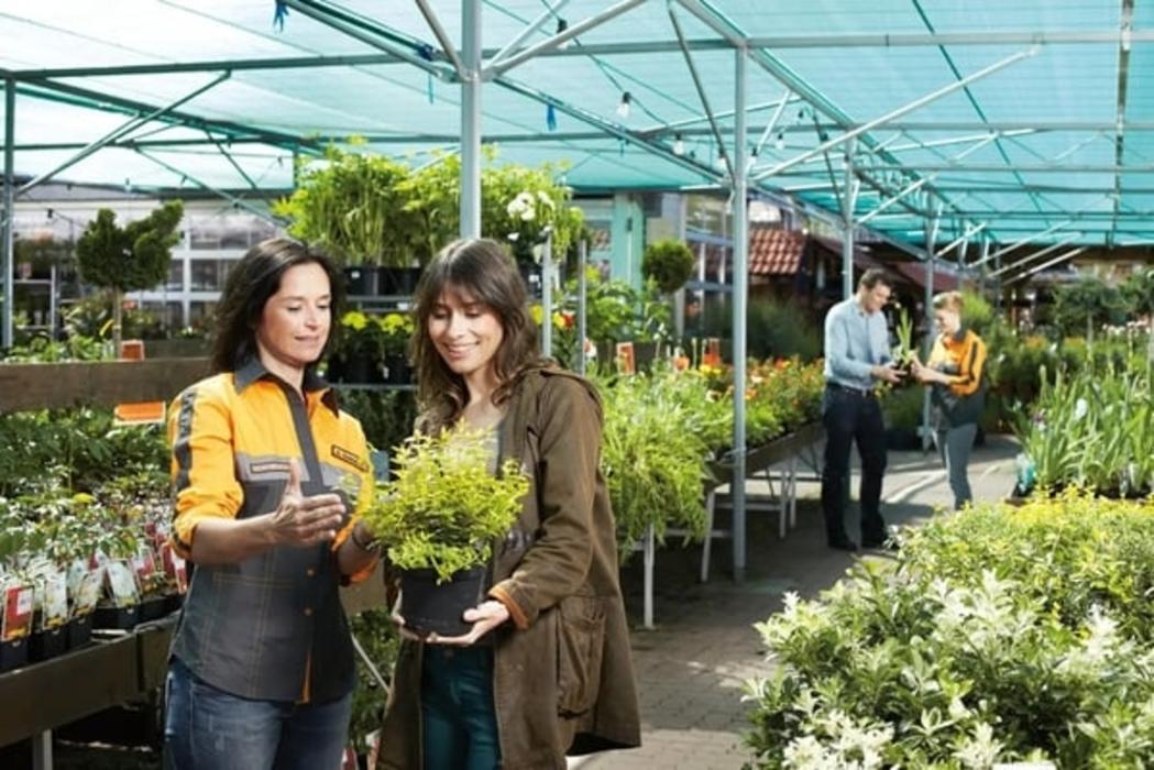 HORNBACH Gartenmarkt Graz, Werschweg in Seiersberg