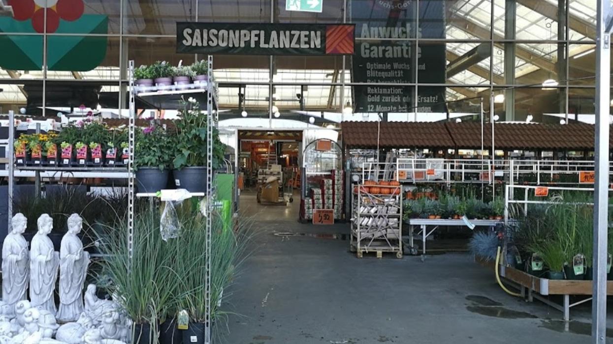 HORNBACH Gartenmarkt Krems, Gewerbeparkstraße in Krems an der Donau