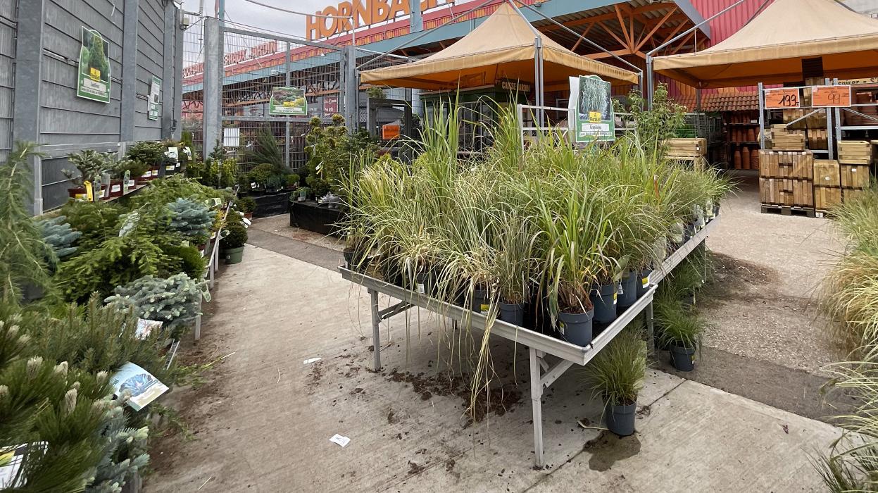 Gartencenter HORNBACH Affoltern am Albis, Obfelderstrasse in Affoltern am Albis