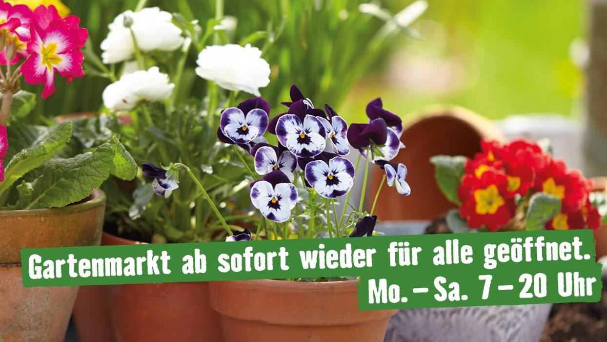 HORNBACH Lüneburg, Bei der Keulahütte in Lüneburg