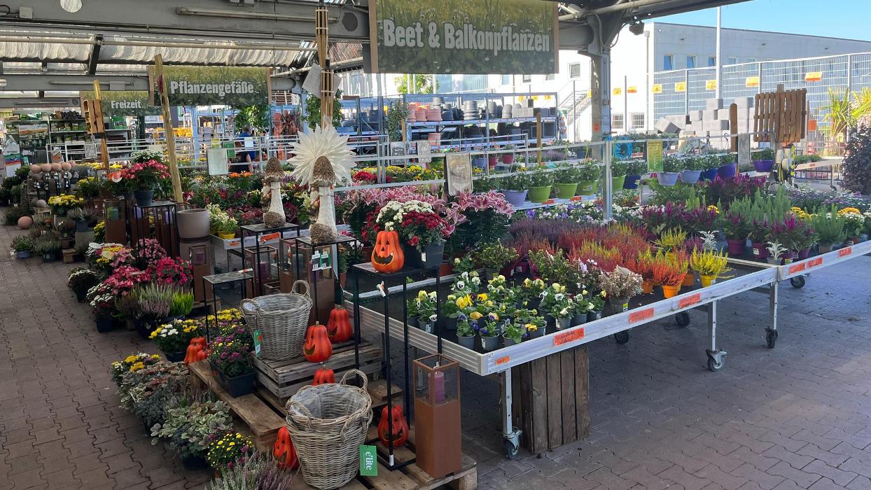 HORNBACH Gartencenter Binzen, Eulerstraße in Binzen