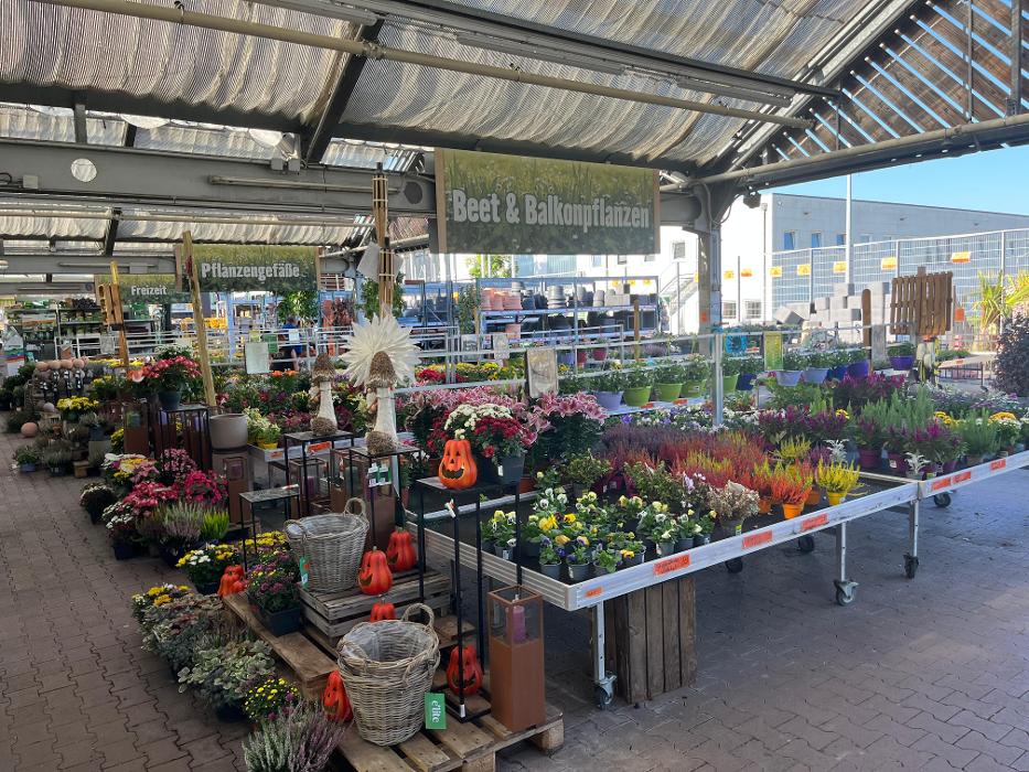 HORNBACH Gartencenter Binzen, Eulerstraße in Binzen