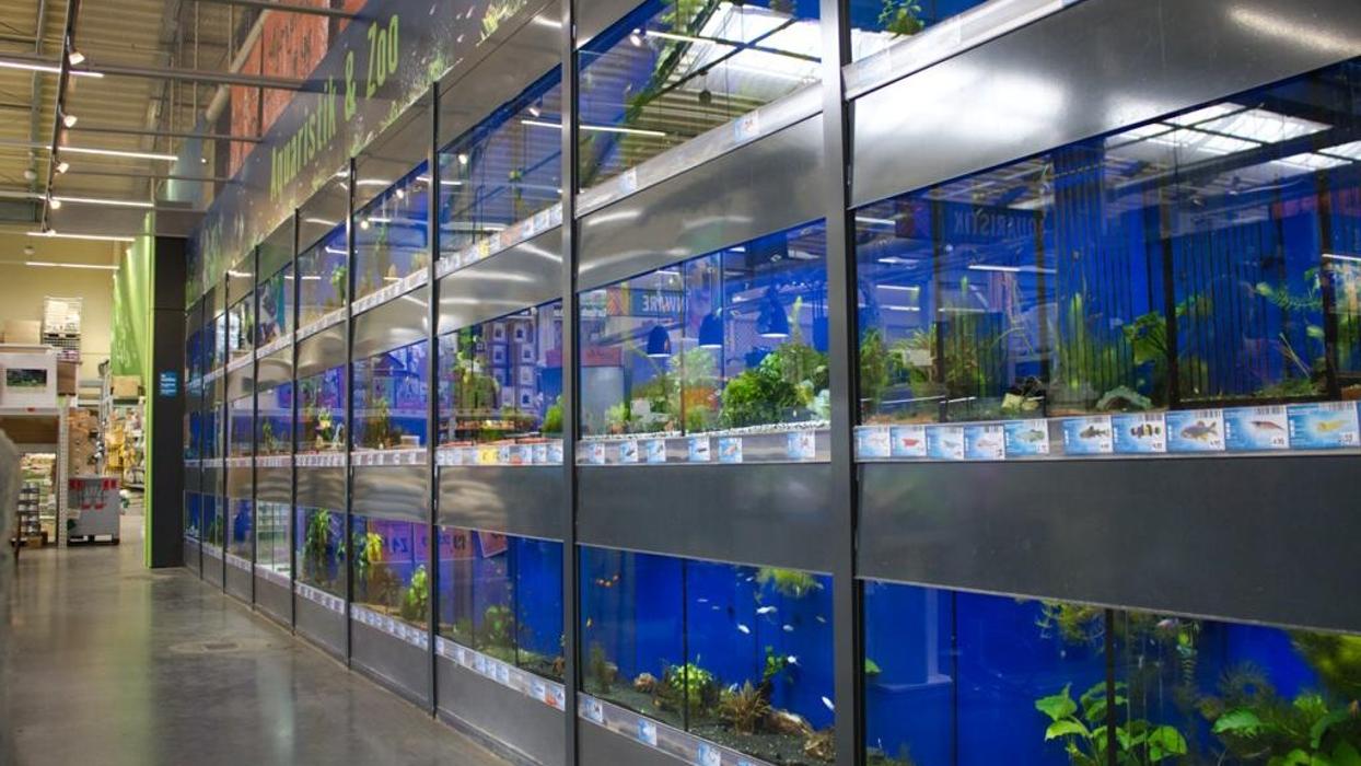 HORNBACH Gartencenter München-Freiham, Hans-Steinkohl-Straße in München