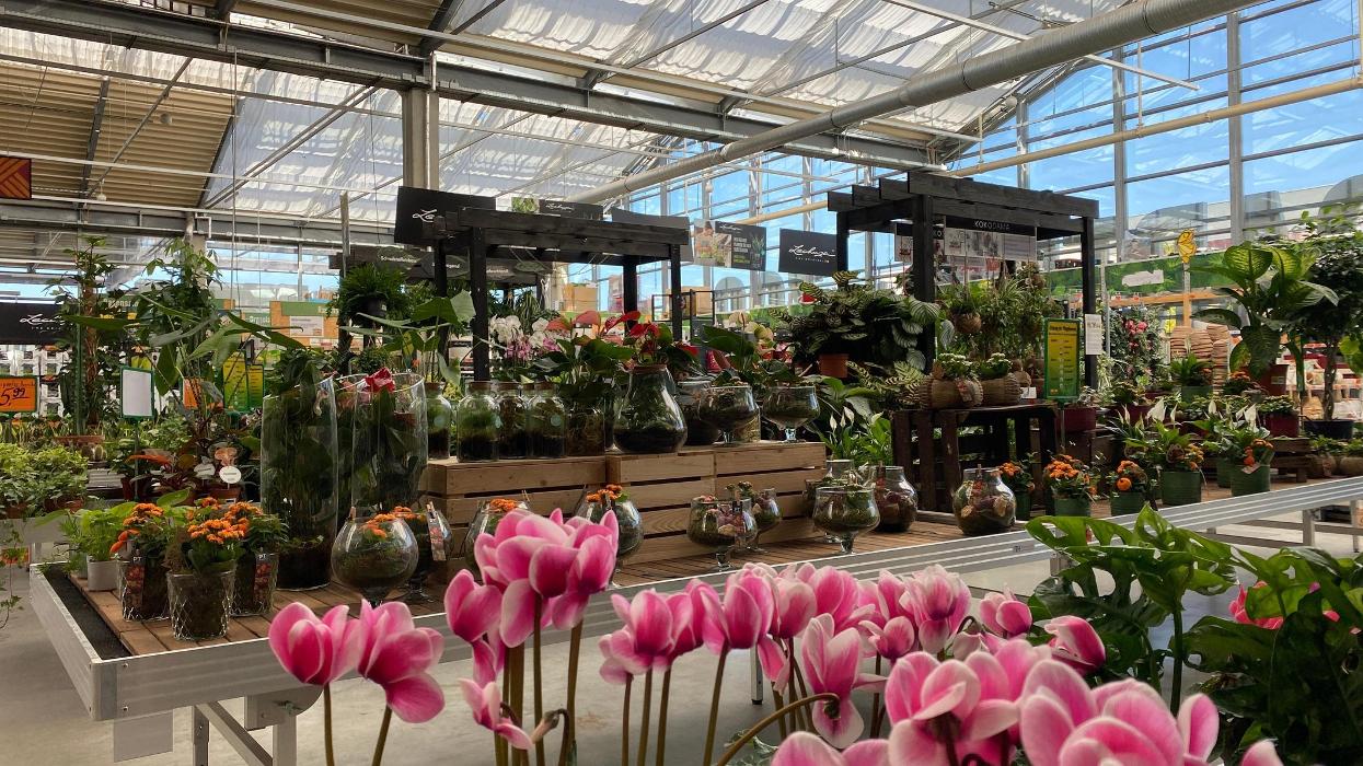 HORNBACH Gartencenter München-Freiham, Hans-Steinkohl-Straße in München