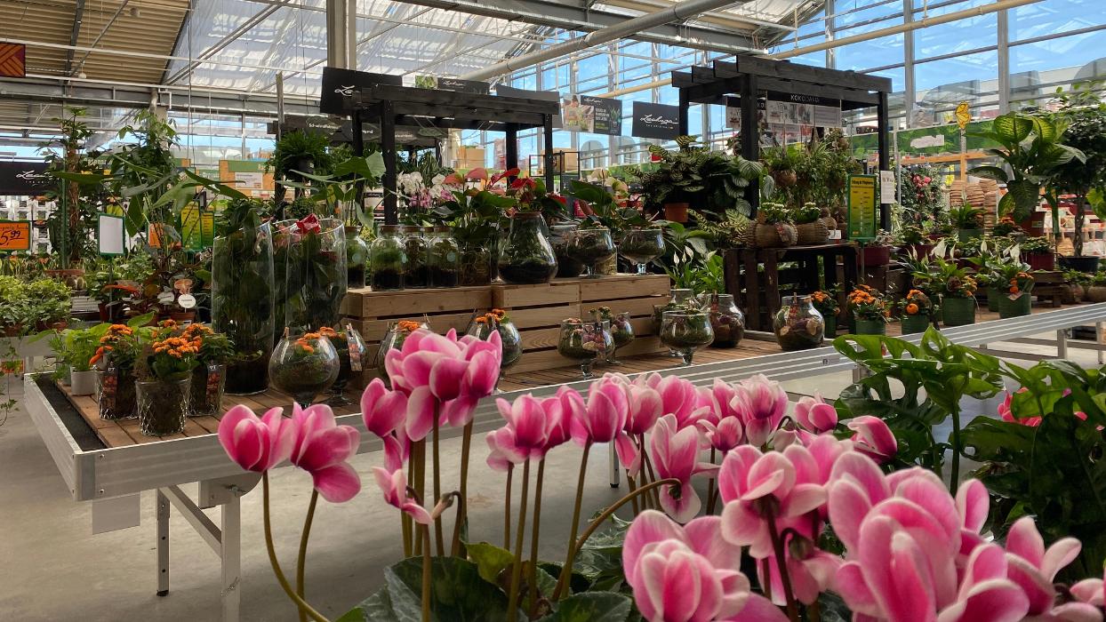 HORNBACH Gartencenter München-Freiham, Hans-Steinkohl-Straße in München