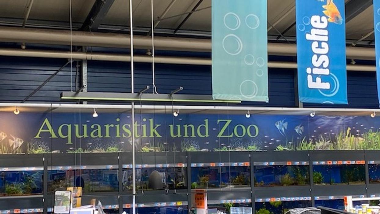 HORNBACH Gartencenter Kiel, Theodor-Heuss-Ring in Kiel