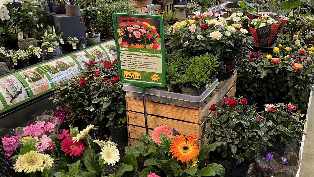 HORNBACH Gartencenter Berlin-Weissensee, Malchower Chaussee in Berlin