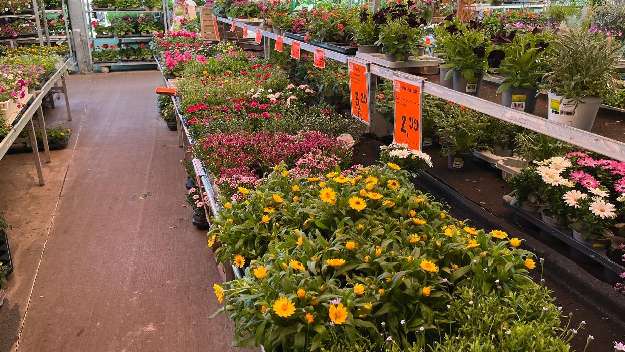 HORNBACH Gartencenter Berlin-Weissensee, Malchower Chaussee in Berlin