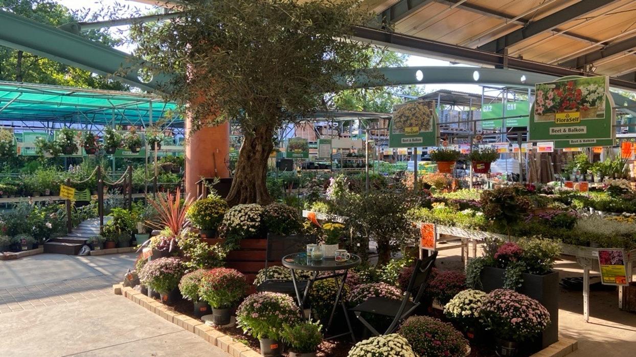 HORNBACH Gartencenter Berlin-Mariendorf, Großbeerenstraße in Berlin