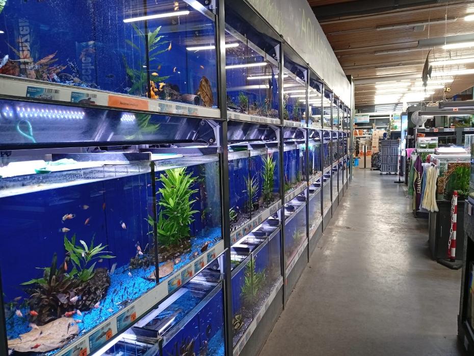 HORNBACH Gartencenter Tübingen, Vor dem Großholz in Tübingen