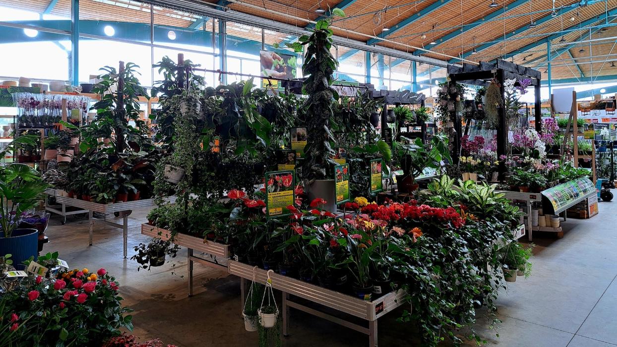 HORNBACH Gartencenter Göppingen, Ulmer Straße in Göppingen