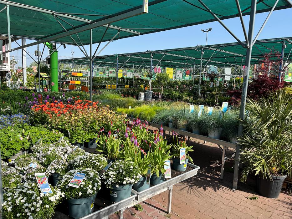 HORNBACH Gartencenter Ludwigshafen-Oggersheim, Oderstraße in Ludwigshafen am Rhein