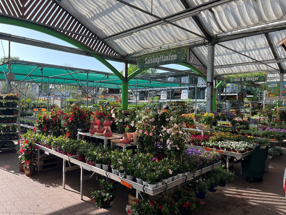 HORNBACH Gartencenter Ludwigshafen-Oggersheim, Oderstraße in Ludwigshafen am Rhein