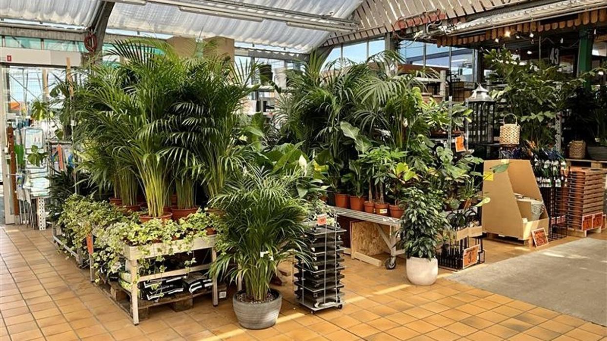 HORNBACH Gartencenter Potsdam, Am Friedrichspark in Potsdam