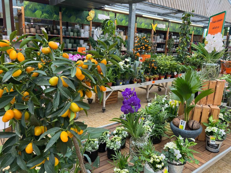 HORNBACH Gartencenter Görlitz, Robert-Bosch-Straße in Görlitz