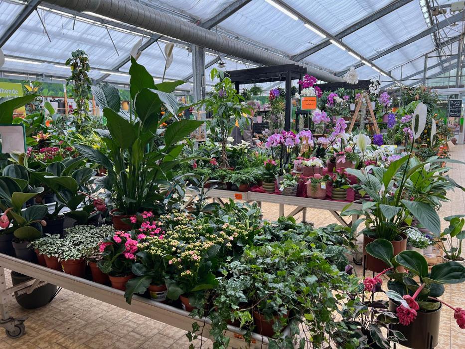 HORNBACH Gartencenter Görlitz, Robert-Bosch-Straße in Görlitz