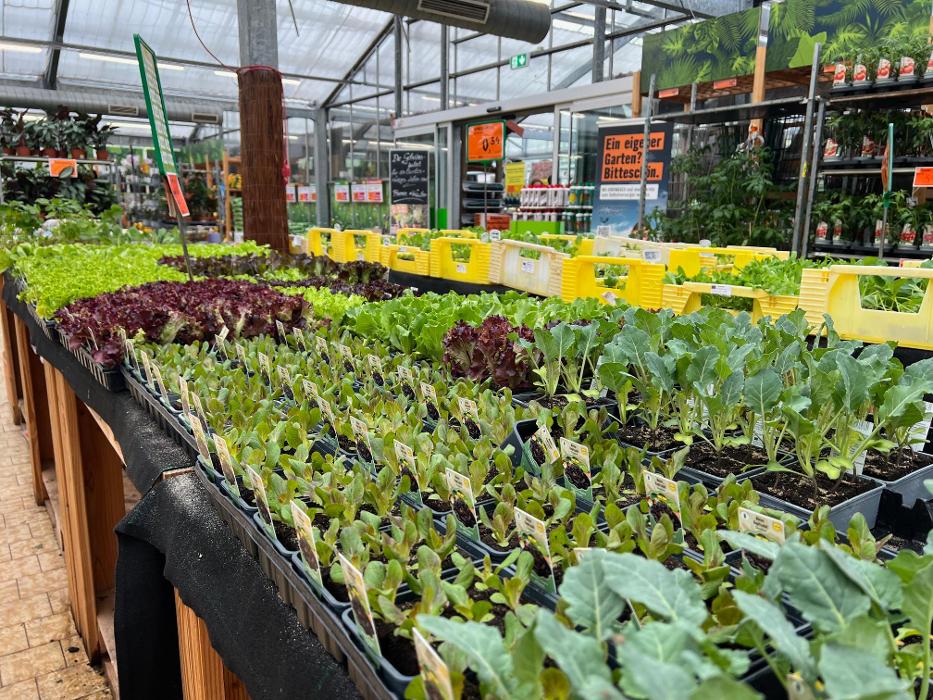 HORNBACH Gartencenter Görlitz, Robert-Bosch-Straße in Görlitz