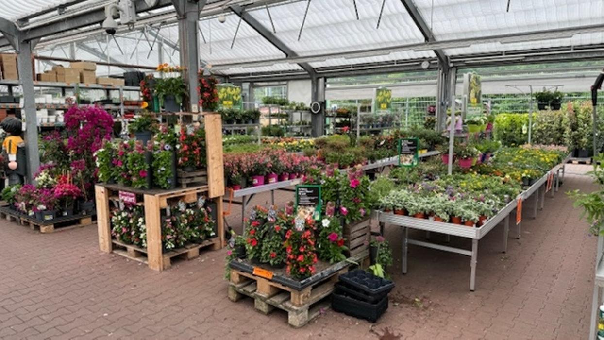 HORNBACH Gartencenter Magdeburg, Silberbergweg in Magdeburg