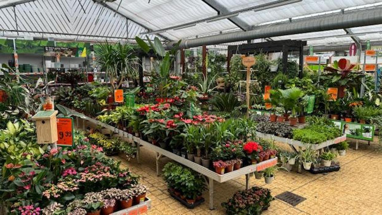 HORNBACH Gartencenter Magdeburg, Silberbergweg in Magdeburg