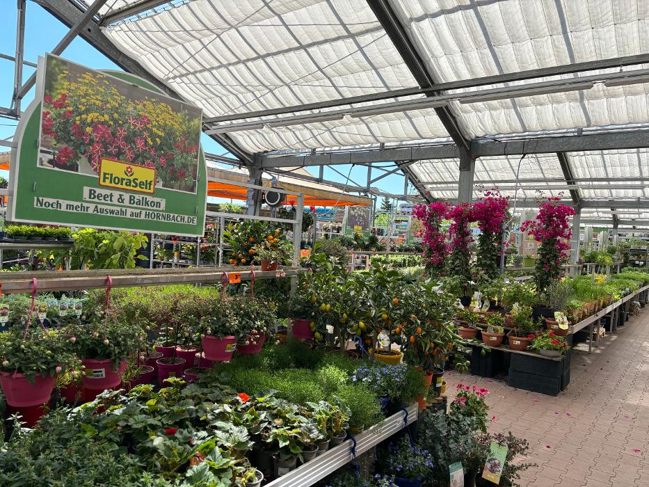 HORNBACH Gartencenter Jena-Lobeda, Brüsseler Straße in Jena