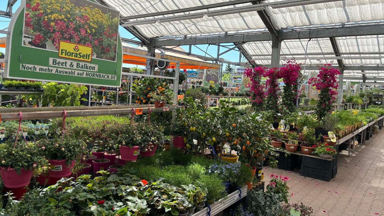 HORNBACH Gartencenter Jena-Lobeda, Brüsseler Straße in Jena