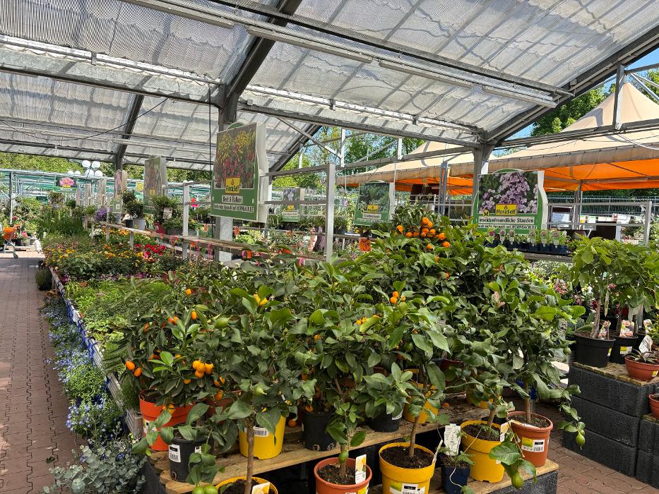 HORNBACH Gartencenter Jena-Lobeda, Brüsseler Straße in Jena