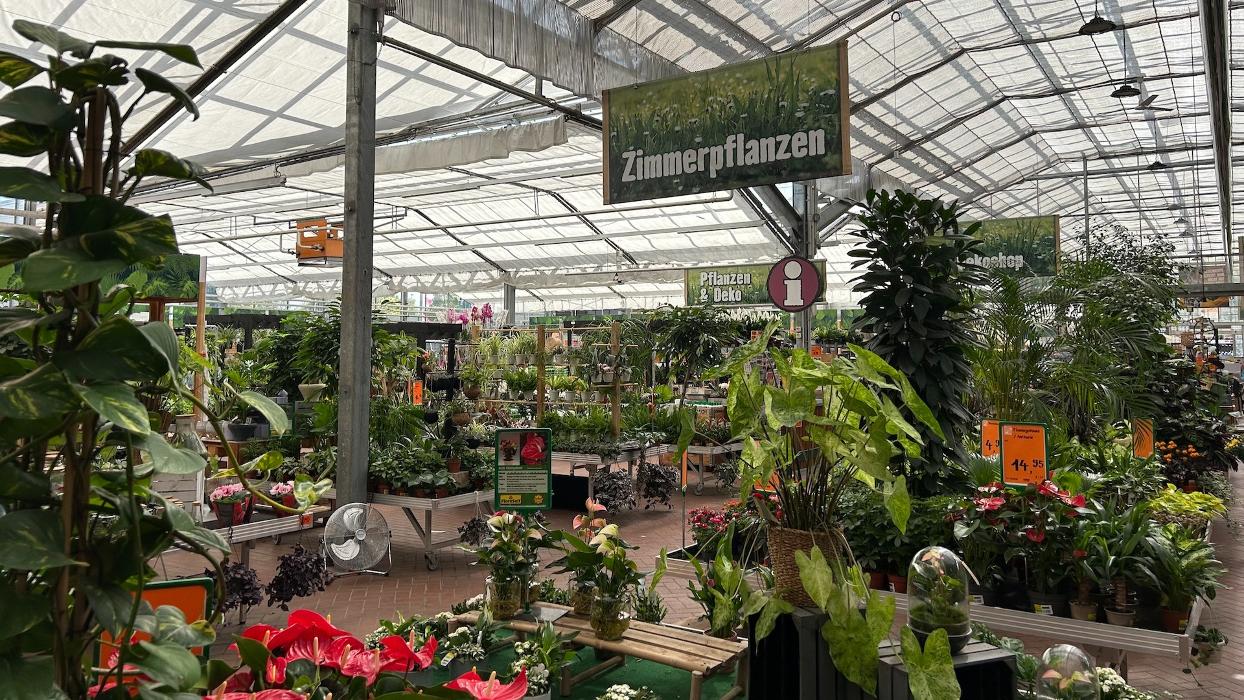 HORNBACH Gartencenter Chemnitz-Markersdorf, Stollberger Straße in Chemnitz