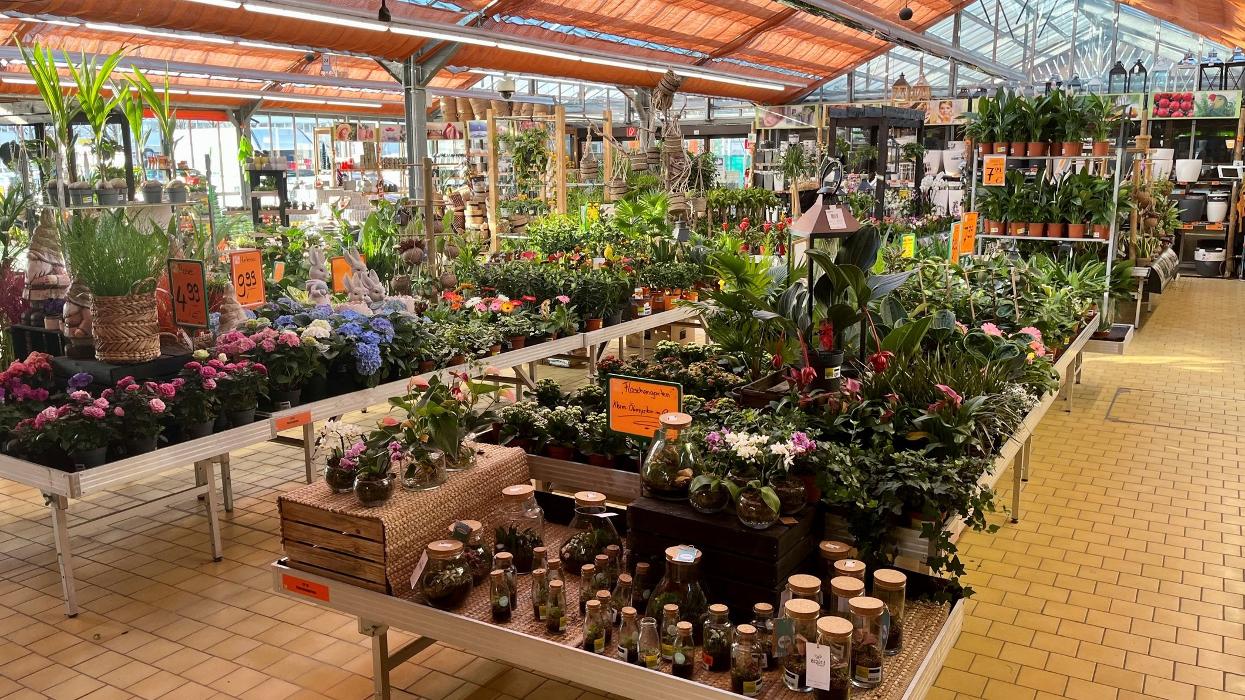 HORNBACH Gartencenter Bamberg, Laubanger in Bamberg