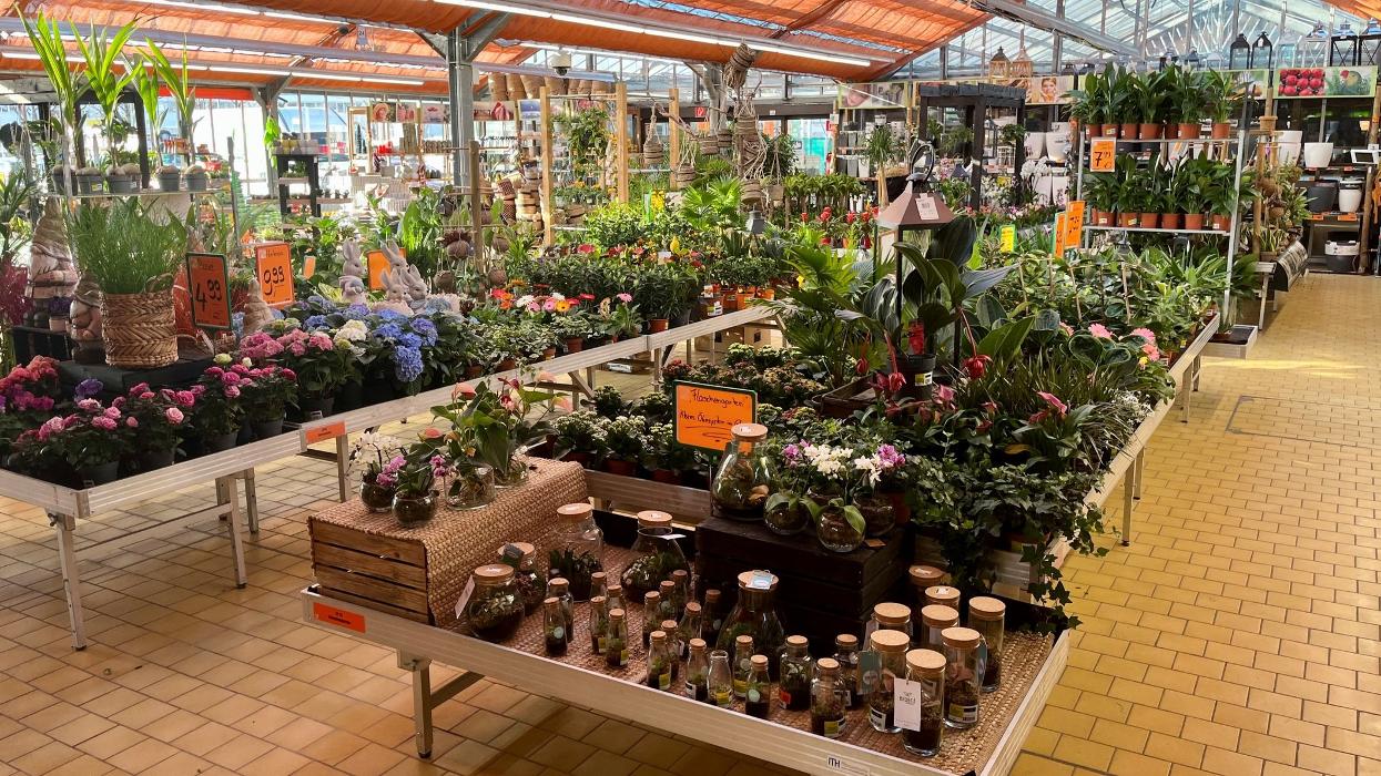HORNBACH Gartencenter Neu-Ulm, Finninger Straße in Neu-Ulm