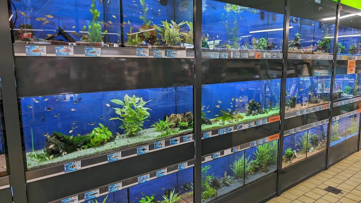 HORNBACH Gartencenter Neu-Ulm, Finninger Straße in Neu-Ulm