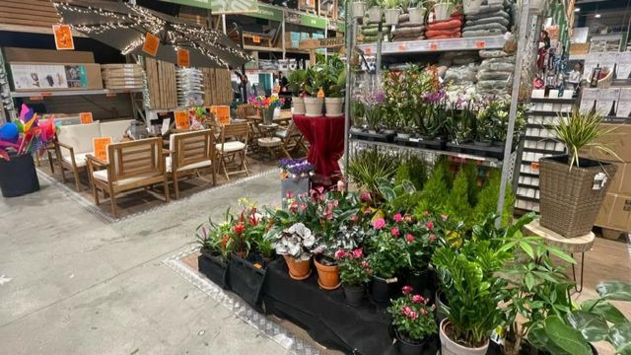 HORNBACH Gartencenter Koblenz, August-Thyssen-Straße in Koblenz