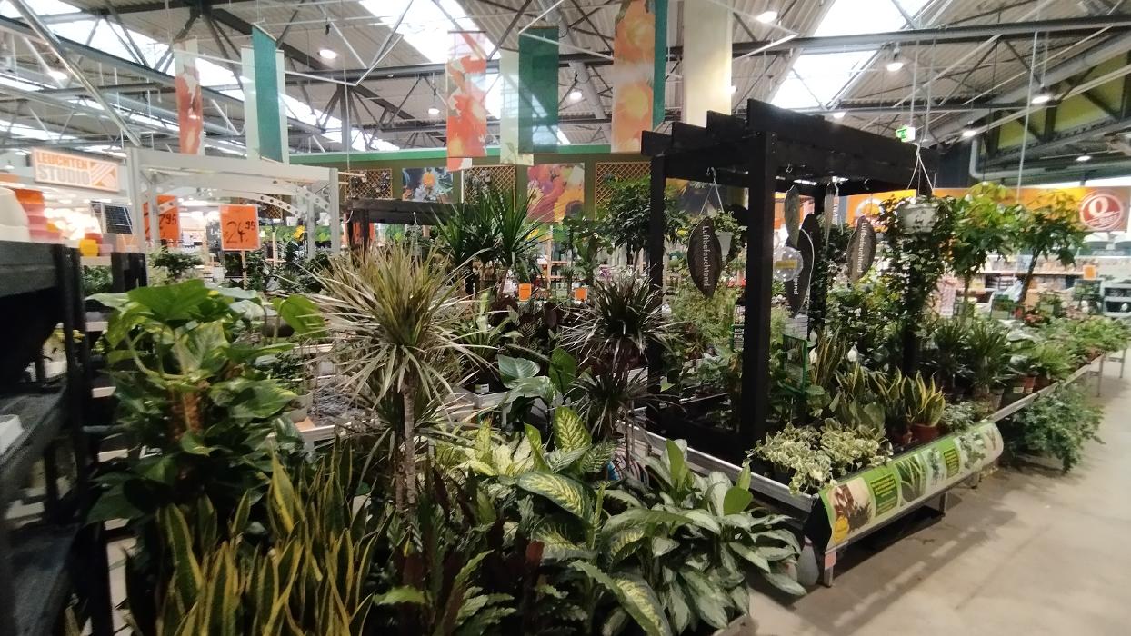 HORNBACH Gartencenter Sinsheim, Dührener Straße in Sinsheim